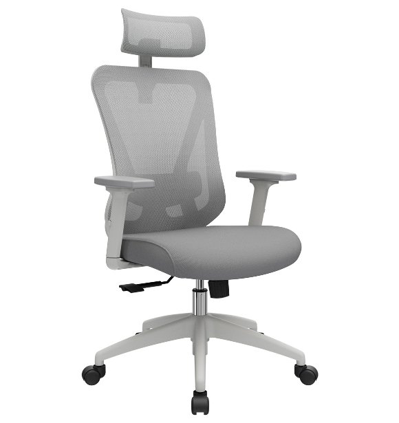 Silla Dolfin